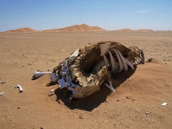 Grossten-Sandwüste-Welt.jpg